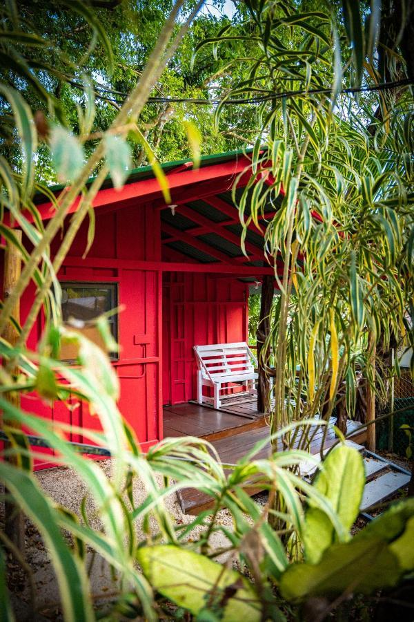Playa Santa Teresa  Pura Vida Mini Hostel Santa Teresa מראה חיצוני תמונה