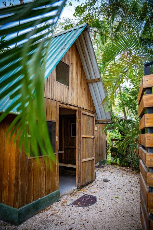 Playa Santa Teresa  Pura Vida Mini Hostel Santa Teresa מראה חיצוני תמונה