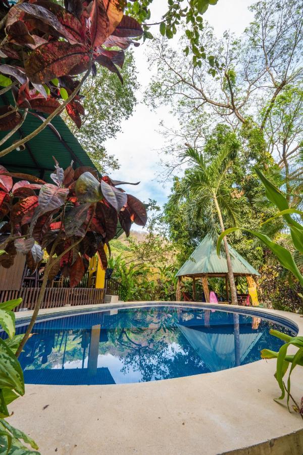 Playa Santa Teresa  Pura Vida Mini Hostel Santa Teresa מראה חיצוני תמונה
