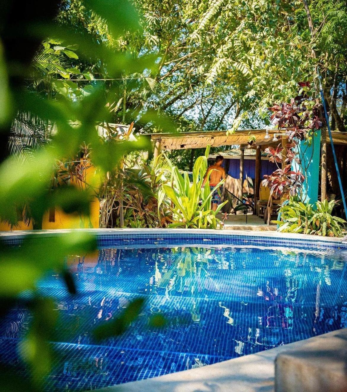Playa Santa Teresa  Pura Vida Mini Hostel Santa Teresa מראה חיצוני תמונה